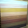 Wood-plastic Composite (WPC) Wall
